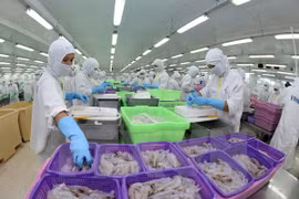 Gana empresa vietnamita prestigio en la exportación de productos acuáticos