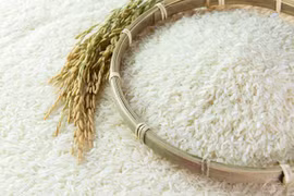 Promueven cooperación pública y privada en producción arrocera