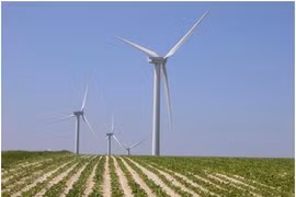 Tra Vinh exhorta más inversiones en proyectos de energía eólica