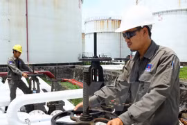 Planea PVN ascender su ingreso multimillonario al cierre de 2015