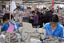 Vietnam cierra 2015 con una cifra récord de 94 mil 750 nuevas empresas