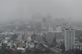  Empresas sudesteasiáticas sufren pérdidas millonarias por neblina