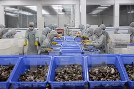  Prefectura japonesa de Osaka desea potenciar colaboración con Vietnam