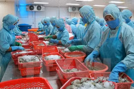 Vietnam diversifica nexos con Tratado de Libre Comercio con UE
