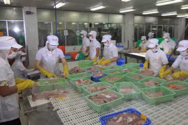 Nuevas normas de EE.UU., retos y oportunidades para pescado vietnamita