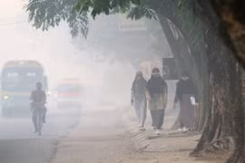 Polución ambiental afecta a la salud de 500 mil indonesios