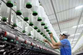 Firmas vietnamitas deben actualizarse de Tratados de Libre Comercio