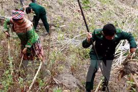 Localidades vietnamita y laosiana cooperan en protección de áreas limítrofes