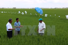 Vietnam comprometido a reducir gases de invernadero en 8%