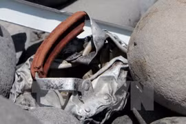 El supuesto fragmento de puerta del avión encontrado ayer en la isla francesa de Reunion es en realidad una escalera doméstica (Fuente: AFP/VNA)