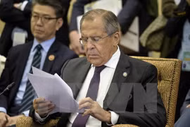  TLC entre Vietnam y UEE: trampolín para nexos Rusia- ASEAN