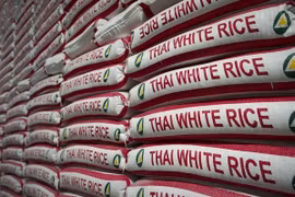 Tailandia exportará 500 mil toneladas de arroz a Indonesia