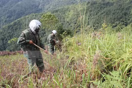 Acomete Ha Tinh desactivación de bombas sin explotar