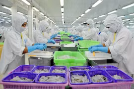Elevan conciencia sobre pactos de libre comercio para empresas vietnamitas