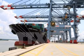 Provincia vietnamita estudia inversión en puerto marítimo de Vung Ang