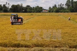 Presidente parlamentario: Agricultura a la vanguardia de Doi Moi