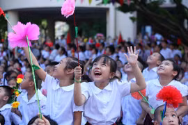 Empeñado Vietnam en cumplir Objetivos de Desarrollo del Milenio