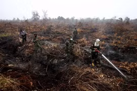Indonesia moviliza 25 aviones para apagar incendios