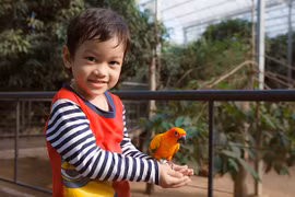 Vietnam tiene su primer parque Safari zoológico