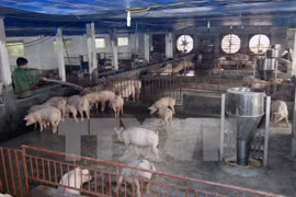 Inauguran granja experimental financiada por el Banco Mundial