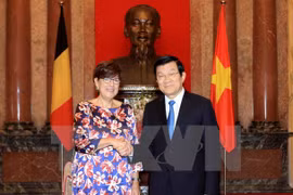 Presidente vietnamita recibe a nuevos embajadores