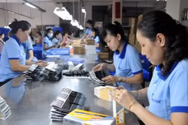 Vietnam asiste a Foro Asia-Europa sobre desarrollo sostenible en Bulgaria