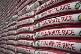 Disminuye exportación arrocera de Tailandia