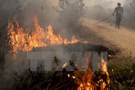 Disminuye cantidad de puntos calientes de incendios en Indonesia