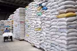 Laos planea aumentar exportación de arroz a China