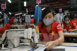 Diario Hongkong: Vietnam obtiene más ganancias que pérdidas por el TPP