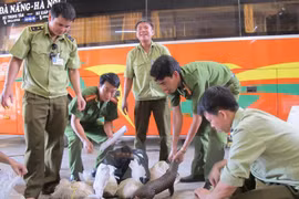 Honran a vietnamitas por esfuerzos en protección de animales salvajes