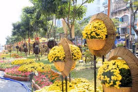 Recorrido de flores embellecerá Ciudad Ho Chi Minh en Año Nuevo Lunar