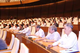 Parlamento vietnamita aprueba el proyecto de Código Civil (modificado)