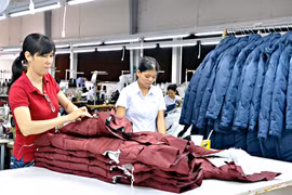  Dong Nai aumenta exportación a países de ASEAN