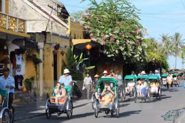 Turistas extranjeros aprenden ser agricultores en Hoi An