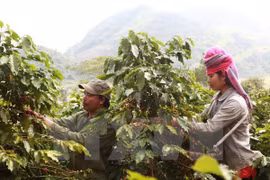 Ministro de agricultura: Ampliación de mercado es cuestión vital 
