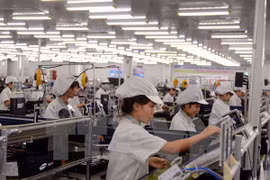 Vietnam debe aprovechar al máximo beneficios del FTA con UE, según economista