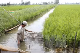  Mesa redonda hacia agricultura sostenible en Sudeste de Asia