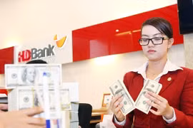 Vietnam: Tipo de cambio de USD toca el techo