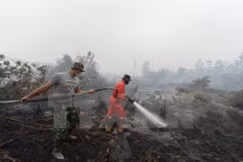 Indonesia acepta oferta de Singapur en enfrentar la neblina
