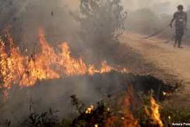 Afectados Malasia y Tailandia por incendios forestales en Indonesia