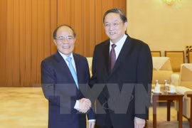 Titular parlamentario vietnamita dialoga con líder de organización china de masas