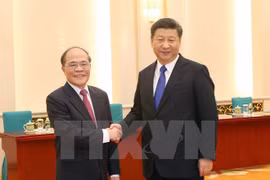 Dirigente parlamentario vietnamita se entrevista con presidente chino