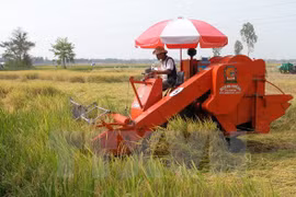  Vietnam se esfuerza por cumplir meta de crecimiento de exportación