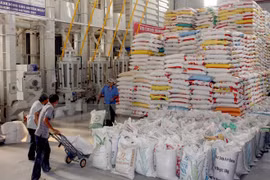 Vietnam exporta más de cuatro millones toneladas de arroz