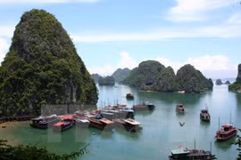 Busca Vietnam desarrollar de forma sostenible zonas costeras