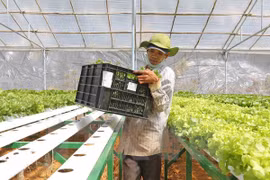 Promueven rol de integración global en desarrollo de agricultura
