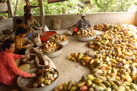  Indonesia y Singapur incrementan cooperación agrícola