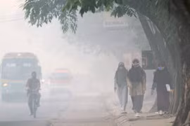 Malasia dispuesta a brindar apoyo en solución de desastre neblina