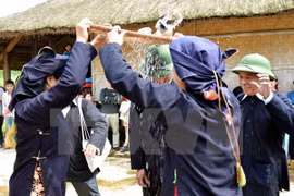  Desarrollarán en Vietnam semana de patrimonios culturales